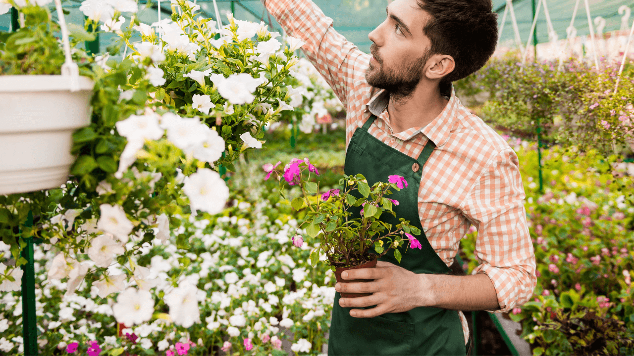 Garden Design Ideas