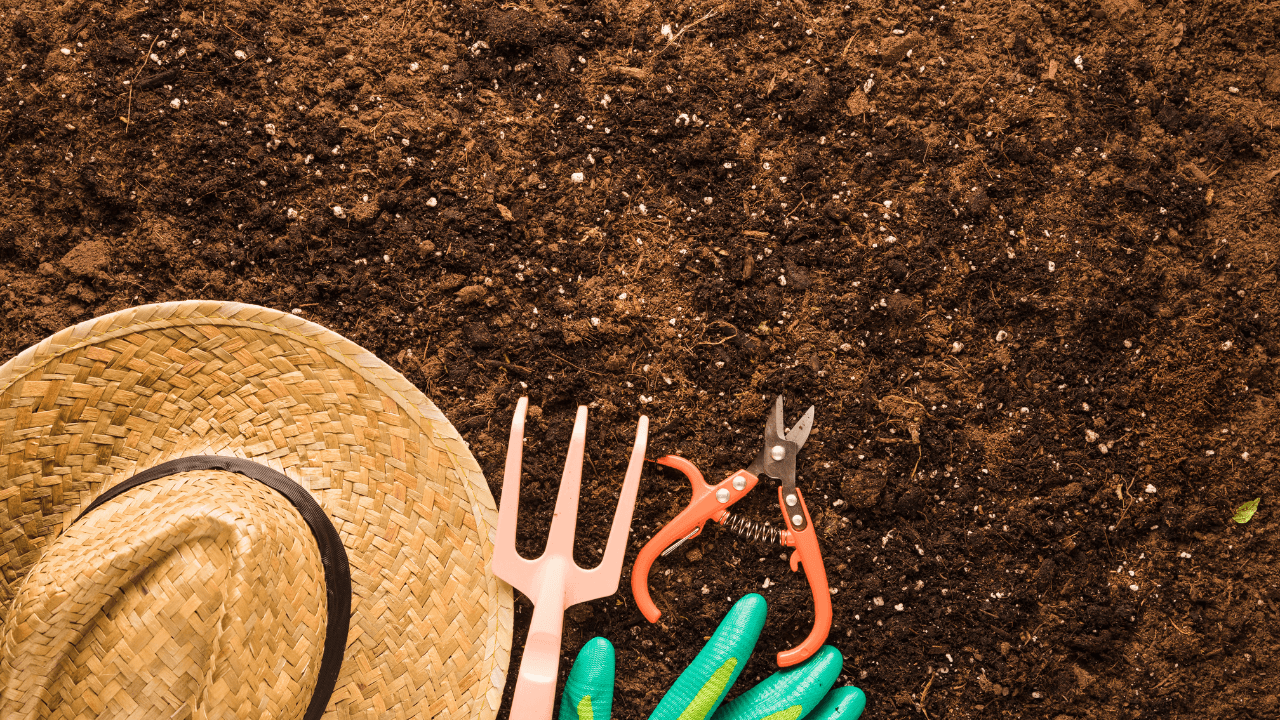Herb Gardening